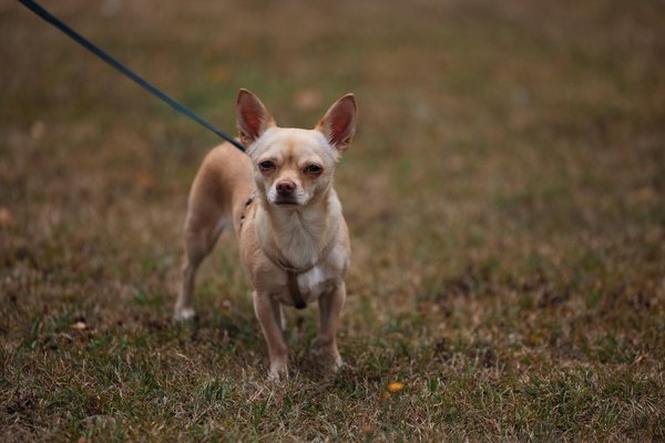 Clevere ratschläge für die sichere nutzung von carsharing-angeboten